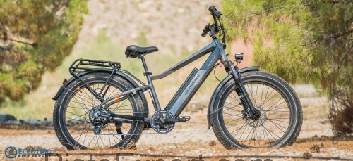 Rad Power Bikes RadRover 6 Plus avis et fiche technique 